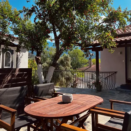 Апартаменты Anemelia *