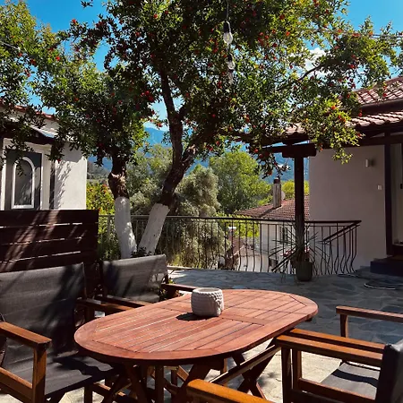 Apartment Anemelia